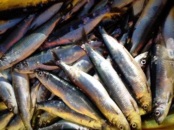 High angle view of fish for sale in market