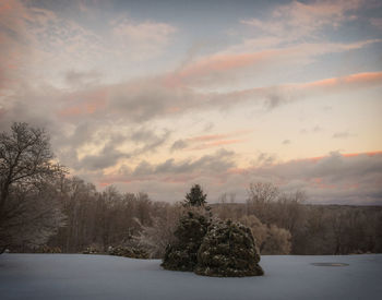 Trees on snow field against sky during sunset