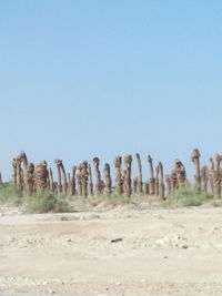 Panoramic view of desert against clear sky