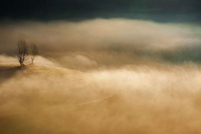 Scenic view of trees on foggy landscape against sky