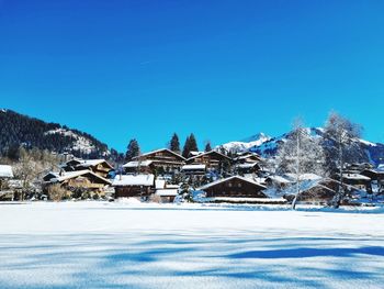 Trees on snow covered landscape against clear blue sky
