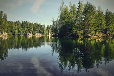 Scenic view of lake in forest against sky