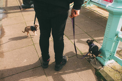 Low section of man with dog standing on tiled floor