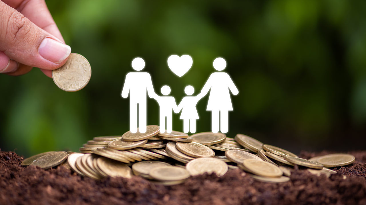 hand, finance, coin, nature, food, one person, currency, adult, food and drink, savings, holding, tree, selective focus