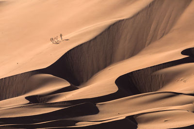 Full frame shot of sand