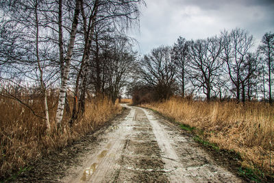 Dirt road amidst bare trees on field against sky