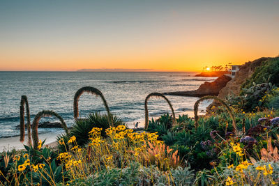 Scenic view of sea against sky during sunset