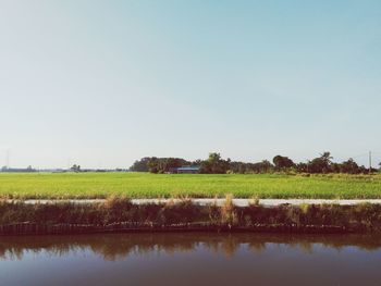 Scenic view of field against clear sky
