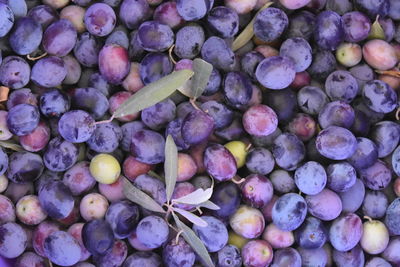 High angle view of grapes for sale in market