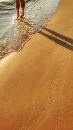 Low section of person on beach