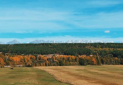 Scenic view of field against sky