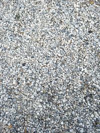 Full frame shot of pebbles on beach