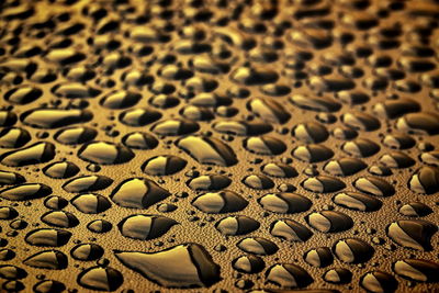 Full frame shot of textured surface