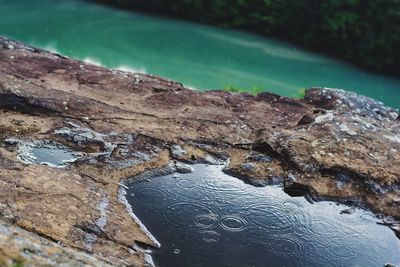 High angle view of rock by lake