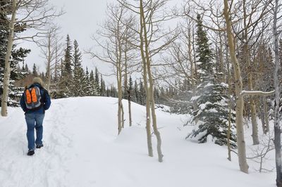 Rear view of person walking on snow covered field