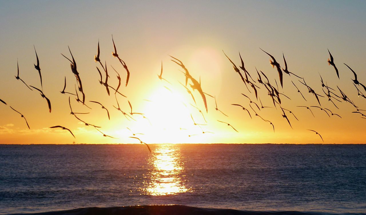 Pompano Beach Fishing Pier