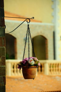 Close-up of red flower hanging on metal structure