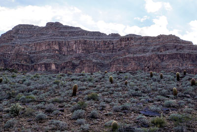 Scenic view of grand canyon rocky mountian