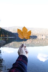 Person holding maple leaf against sky