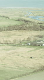 Scenic view of grassy field