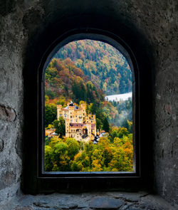 Trees and buildings seen through window