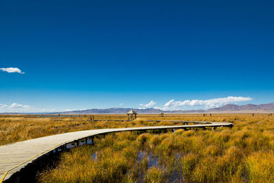 Empty boardwalk over wetland against blue sky