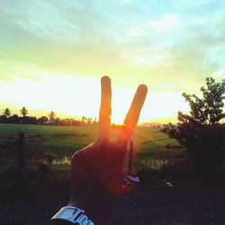 Scenic view of grassy field against sky at sunset