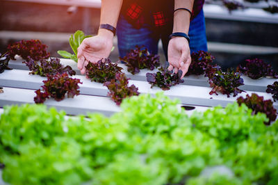 Midsection of woman standing by plants