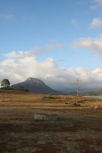 Scenic view of field against sky