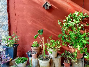 High angle view of potted plants in yard