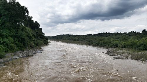 Scenic view of river amidst trees against sky