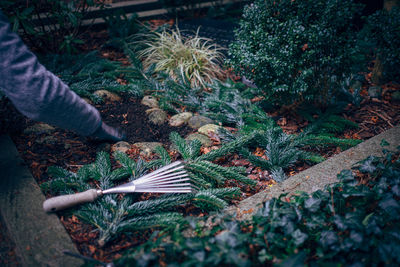 Cropped image of man working in yard