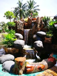 Fountain by palm trees and plants against sky