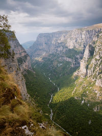 environment