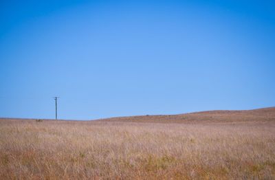 Scenic view of landscape against clear blue sky