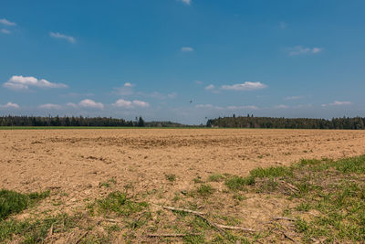 Scenic view of agricultural field against sky