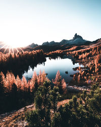 Scenic view of lake by trees against clear sky