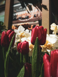 Close-up of rose bouquet