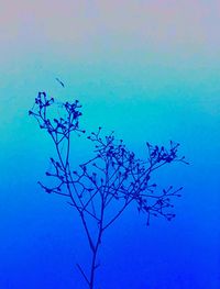 Low angle view of flowering plant against blue sky