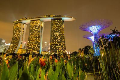Low angle view of marina bay sands and supertree against sky in city at night