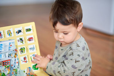 Cute young boy looking at pictures in his book