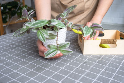 environmental conservation