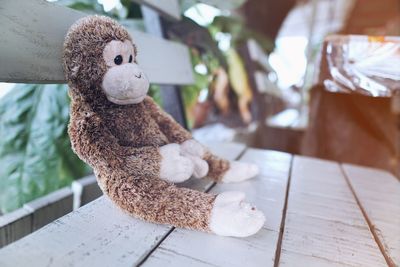 Stuffed toy on bench