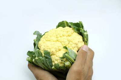 Close-up of hand holding ice cream against white background