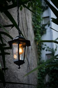 Close-up of illuminated lamp