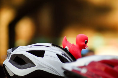 Close-up of bird figurine on cycling helmet