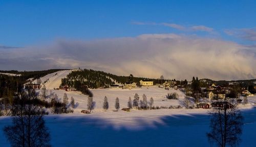 Scenic view of landscape against blue sky