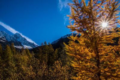 Scenic view of snowcapped mountains against sky during autumn