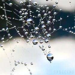 Close-up of water drops on glass