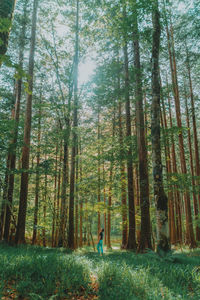 Man standing by trees in forest